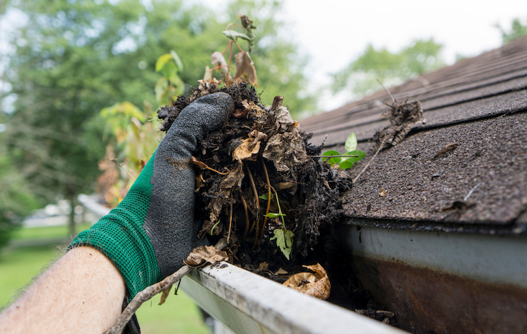 Ways to Prepare Your Home for Colder Weather | Clean Gutters