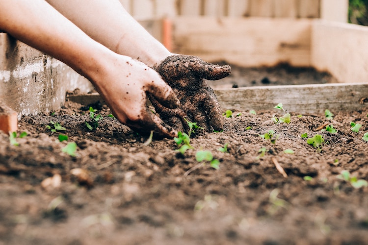 Spring Yard Maintenance Tips for Colorado | Prepare Planting Beds