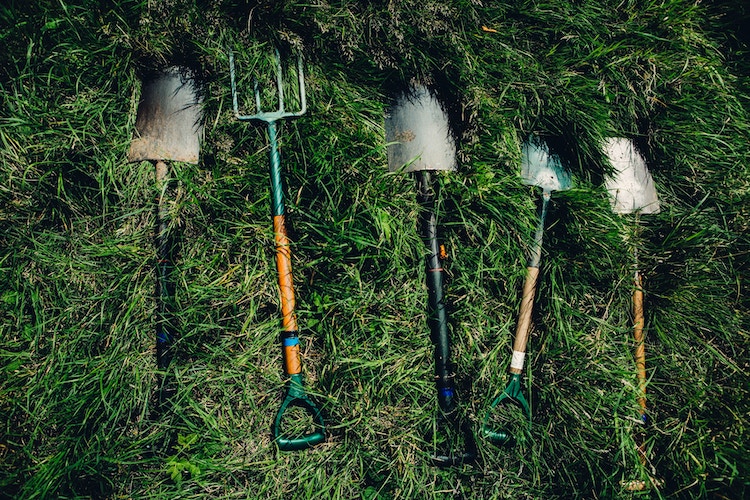 Spring Yard Maintenance Tips for Colorado | Clean + Sharpen Tools